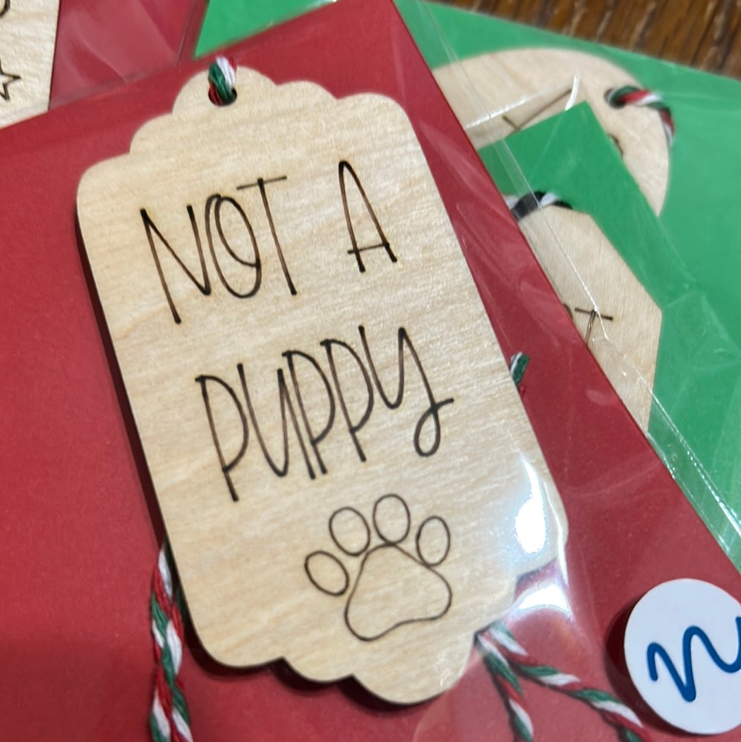 Not a Puppy